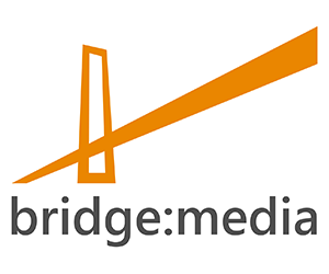 Media Bridge LLC