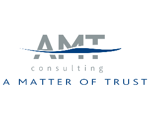 AMT Consulting